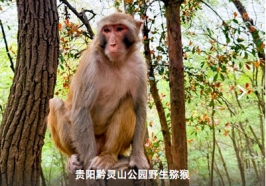 8f2bfbfcb6d4c675613454b6a96f9f05.jpg