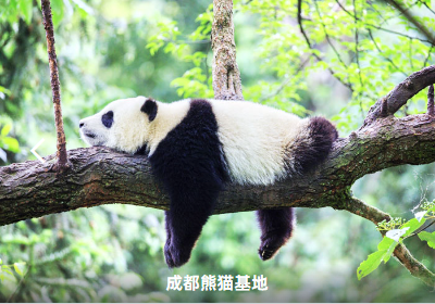a9dbf4d8bee21516dfbc680b529aca22.png