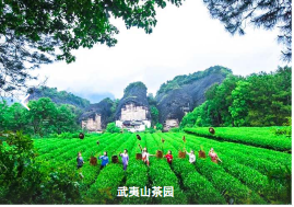 图片.png
